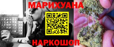 гашик Новокубанск