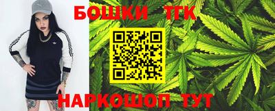 ешки Новодвинск
