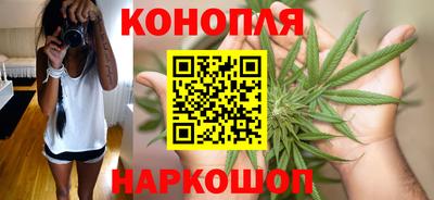 гашик Новокубанск