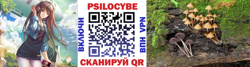 Псилоцибиновые грибы MAGIC MUSHROOMS Тамбов