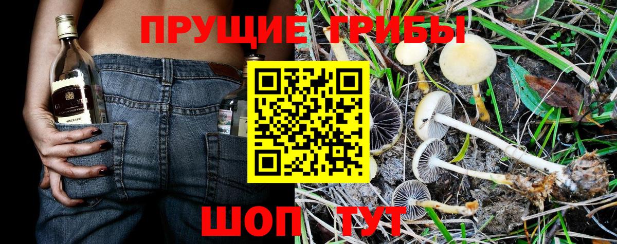 Метамфетамин  Вход с VPN  Конопля  Тамбов  МЕФ кристаллы  Как найти закладки?  Гашиш  ГАШ 
