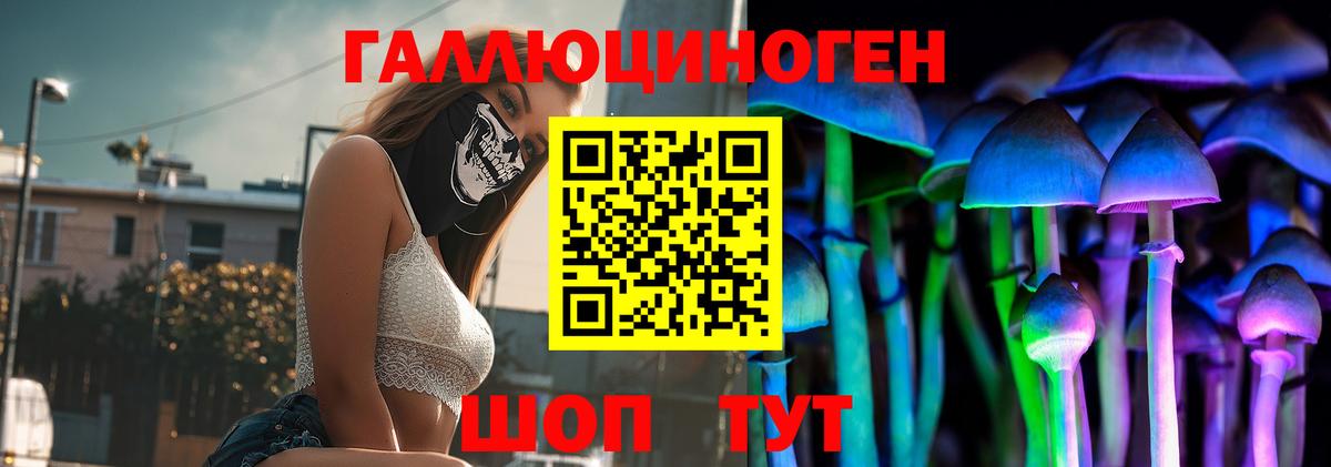 Псилоцибиновые грибы прущие грибы Тамбов